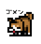 ドット絵スタンプ 柴犬（個別スタンプ：40）