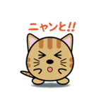 まんまる動物スタンプ（個別スタンプ：39）