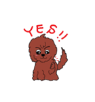 犬の生活☆茶ムク犬（個別スタンプ：1）