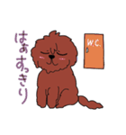 犬の生活☆茶ムク犬（個別スタンプ：24）