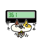 数字で話すねこ（個別スタンプ：16）