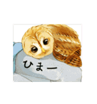 フクロウまみれ。（個別スタンプ：19）