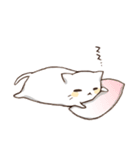 ねことまくら（個別スタンプ：37）