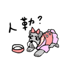 Chacha's Life 2 (Friends)（個別スタンプ：31）