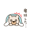 しまくま（個別スタンプ：36）