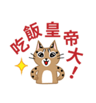 台灣の山貓	(食品)（個別スタンプ：3）