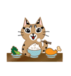 台灣の山貓	(食品)（個別スタンプ：9）