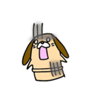 はにワンこ（個別スタンプ：5）