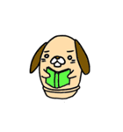 はにワンこ（個別スタンプ：18）