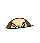 はにワンこ（個別スタンプ：20）