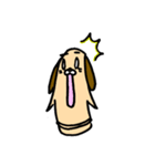 はにワンこ（個別スタンプ：28）