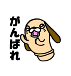 はにワンこ（個別スタンプ：36）