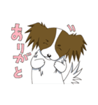 パピヨンのテンちゃん（個別スタンプ：3）