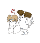 パピヨンのテンちゃん（個別スタンプ：5）
