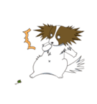 パピヨンのテンちゃん（個別スタンプ：8）