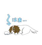 パピヨンのテンちゃん（個別スタンプ：16）
