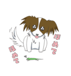パピヨンのテンちゃん（個別スタンプ：18）