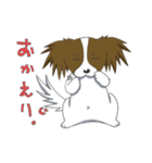 パピヨンのテンちゃん（個別スタンプ：24）
