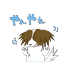 パピヨンのテンちゃん（個別スタンプ：36）