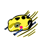 黄色ヤドクガエルのハッピースタンプ（個別スタンプ：19）
