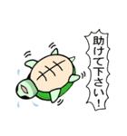 かめDEごめんね（個別スタンプ：21）