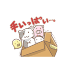 ツインテだんぼーる（個別スタンプ：23）