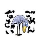 ハシビロ コウくん（個別スタンプ：24）