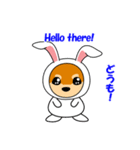 豆柴ウサギ（個別スタンプ：1）