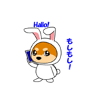 豆柴ウサギ（個別スタンプ：5）