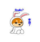 豆柴ウサギ（個別スタンプ：10）