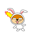 豆柴ウサギ（個別スタンプ：13）