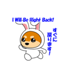 豆柴ウサギ（個別スタンプ：16）