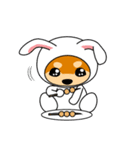 豆柴ウサギ（個別スタンプ：17）