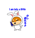 豆柴ウサギ（個別スタンプ：19）