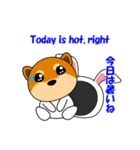 豆柴ウサギ（個別スタンプ：22）