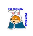 豆柴ウサギ（個別スタンプ：23）