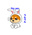 豆柴ウサギ（個別スタンプ：24）