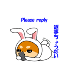 豆柴ウサギ（個別スタンプ：25）