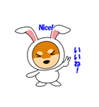 豆柴ウサギ（個別スタンプ：26）