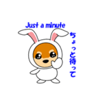 豆柴ウサギ（個別スタンプ：28）