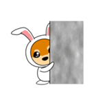 豆柴ウサギ（個別スタンプ：30）