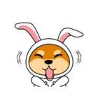 豆柴ウサギ（個別スタンプ：35）
