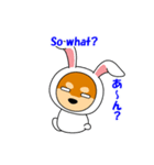 豆柴ウサギ（個別スタンプ：36）