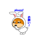 豆柴ウサギ（個別スタンプ：38）