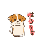 シーズー犬スタンプ（個別スタンプ：1）