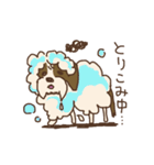 シーズー犬スタンプ（個別スタンプ：35）