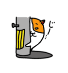 猫の「ころたま」（個別スタンプ：5）