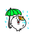 猫の「ころたま」（個別スタンプ：13）