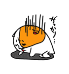 猫の「ころたま」（個別スタンプ：21）