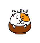 猫の「ころたま」（個別スタンプ：34）